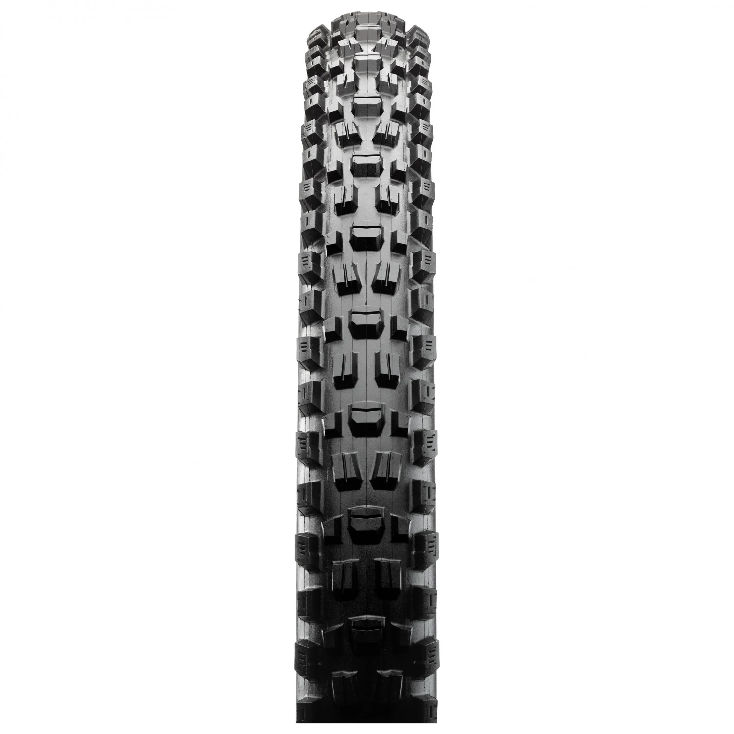 MAXXIS Assegai 27,5'' (66-584) 3C MaxxTerra EXO+ TR - Cyclocross Tyre 4 MAXXIS Assegai 27,5'' (66-584) 3C MaxxTerra EXO+ TR - Cyclocross Tyre - Image 2